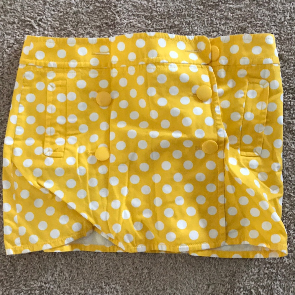 J crew skirt